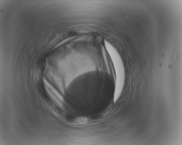 X0000082690227200702232213