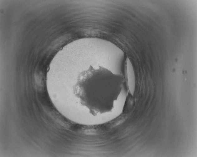 X0000082690228200702232213