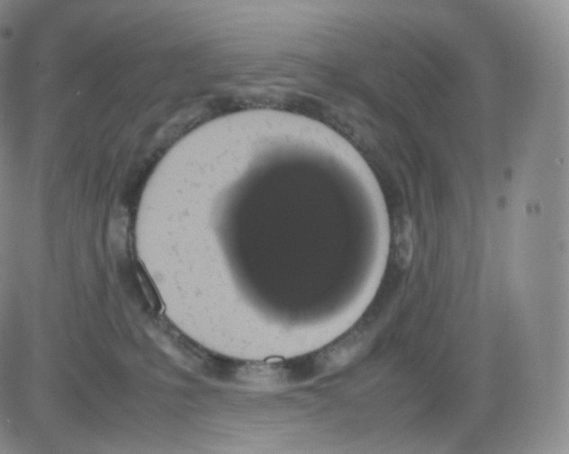 X0000082690231200702232213