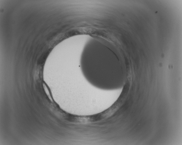 X0000082690233200702232213