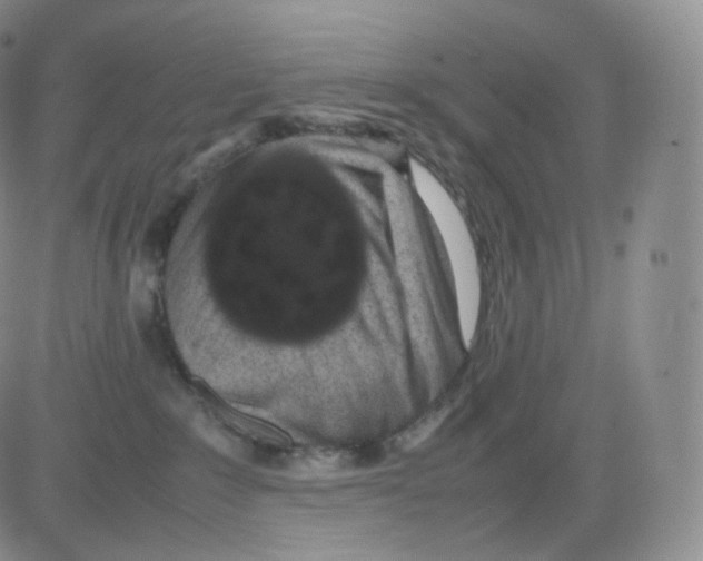 X0000082690235200702232213