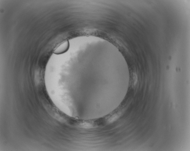 X0000082690236200702232213