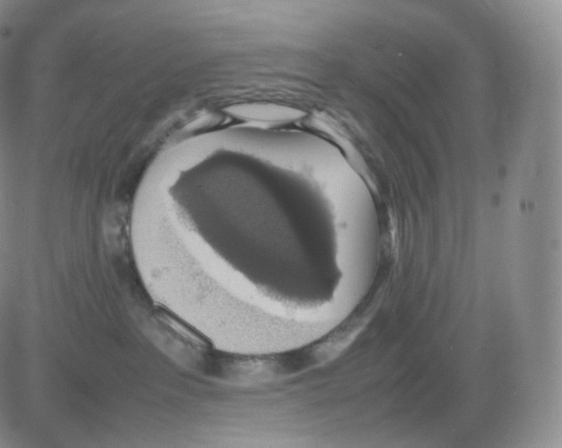 X0000082690237200702232212