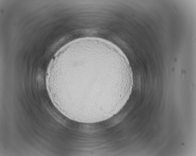 X0000082690238200702232212