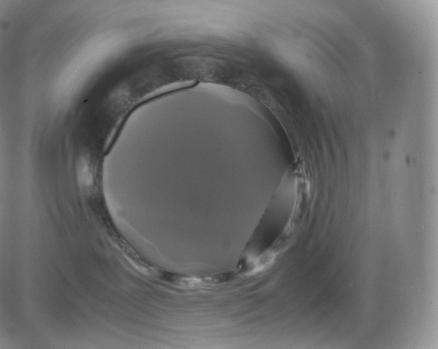 X0000082690239200702232212