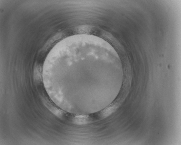 X0000082690240200702232212