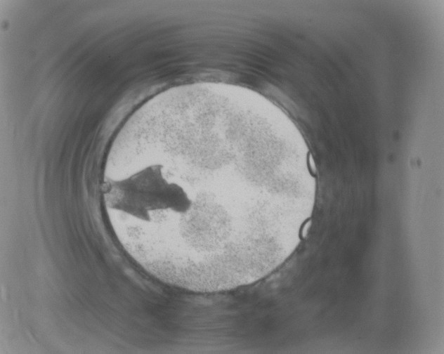 X0000082690241200702232212