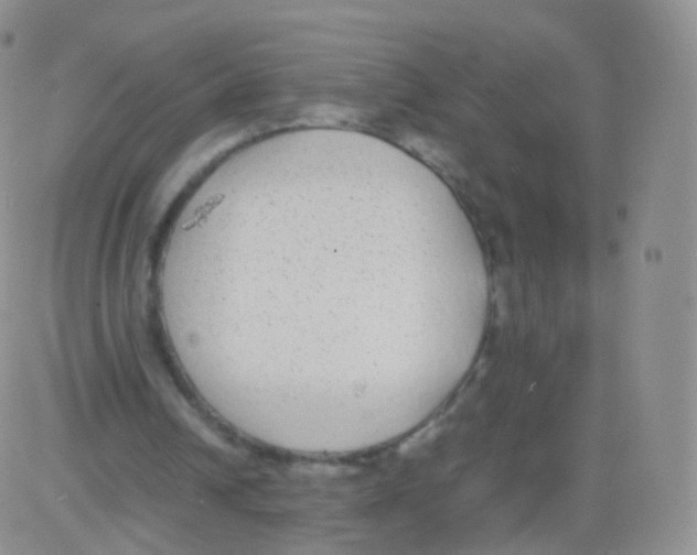 X0000082690242200702232212