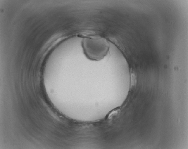 X0000082690243200702232212