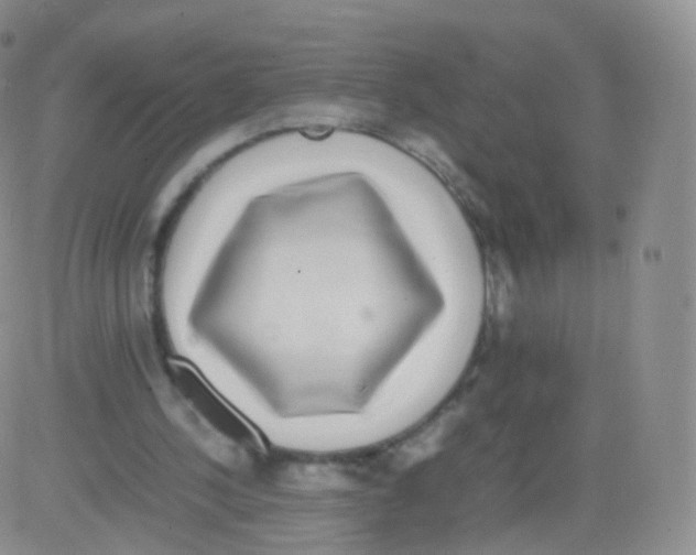 X0000082690244200702232212