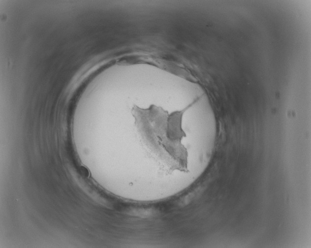 X0000082690247200702232212