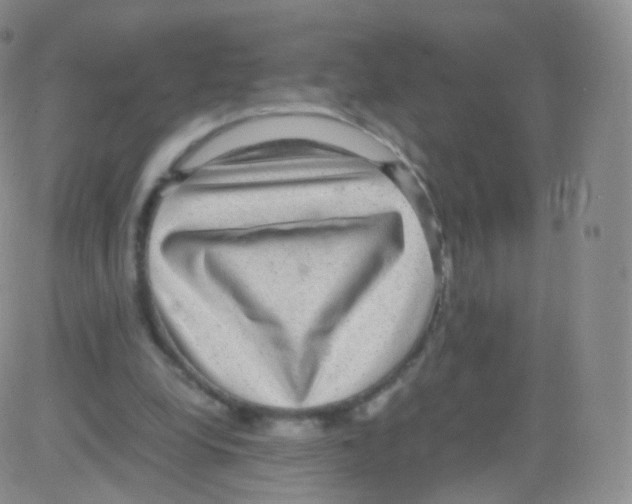 X0000082690248200702232212