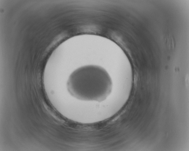 X0000082690249200702232212