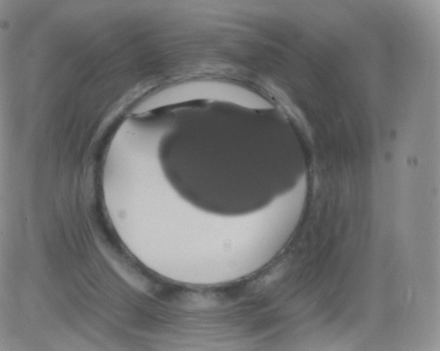 X0000082690250200702232212