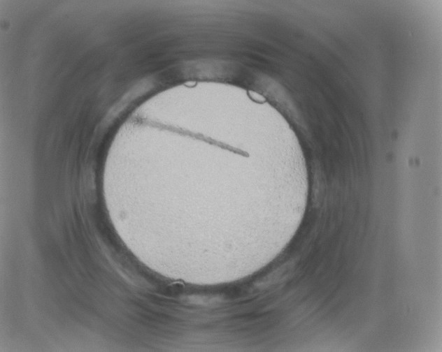 X0000082690251200702232212