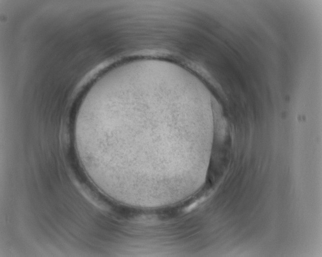 X0000082690252200702232212