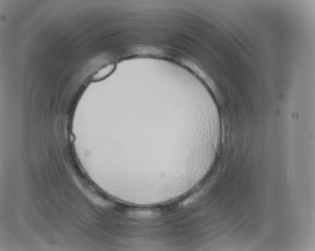 X0000082690253200702232212