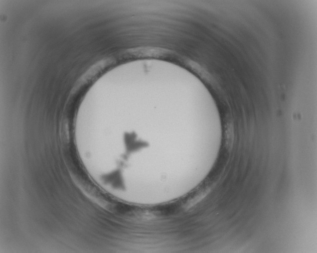 X0000082690254200702232212