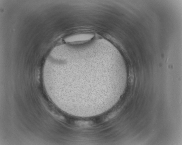 X0000082690255200702232212