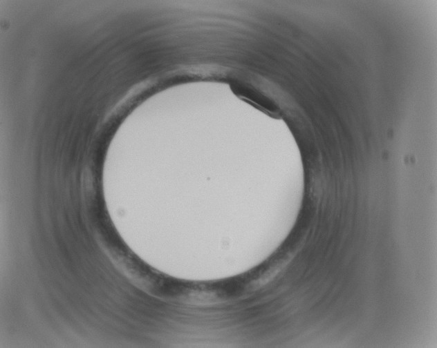 X0000082690256200702232212