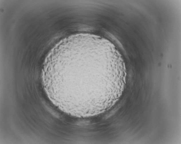 X0000082690257200702232212