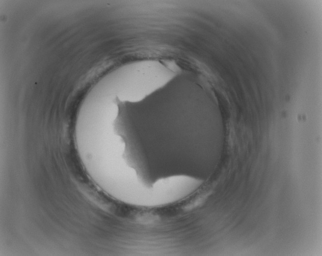 X0000082690258200702232212