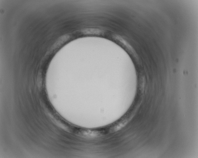 X0000082690261200702232212