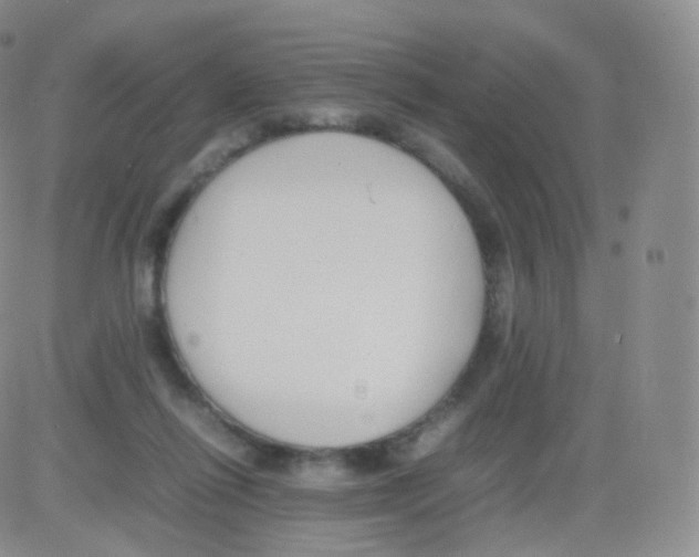 X0000082690262200702232212