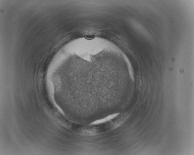 X0000082690263200702232212