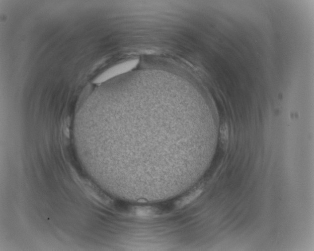 X0000082690264200702232212