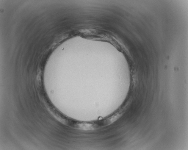 X0000082690265200702232212