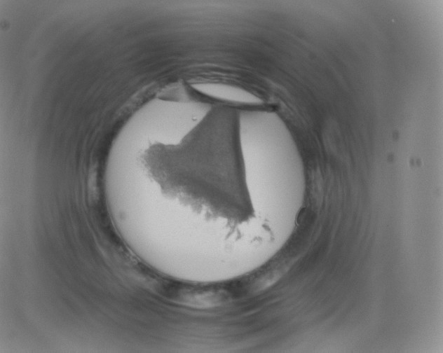 X0000082690267200702232212