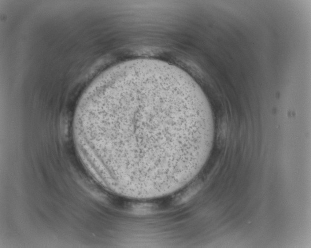 X0000082690268200702232212