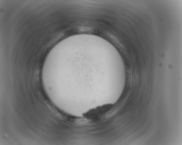 X0000082690269200702232212