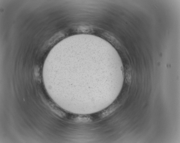 X0000082690270200702232212