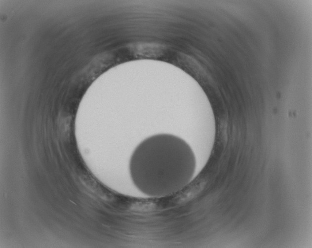 X0000082690271200702232212