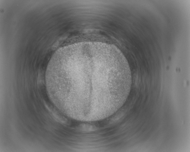 X0000082690272200702232212