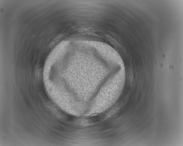 X0000082690276200702232212