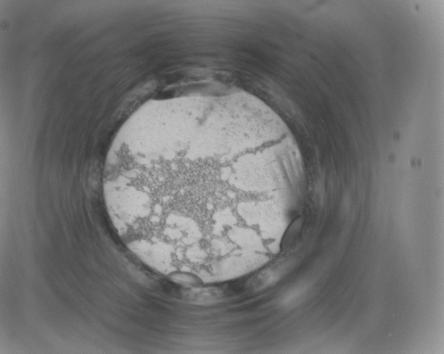 X0000082690277200702232212