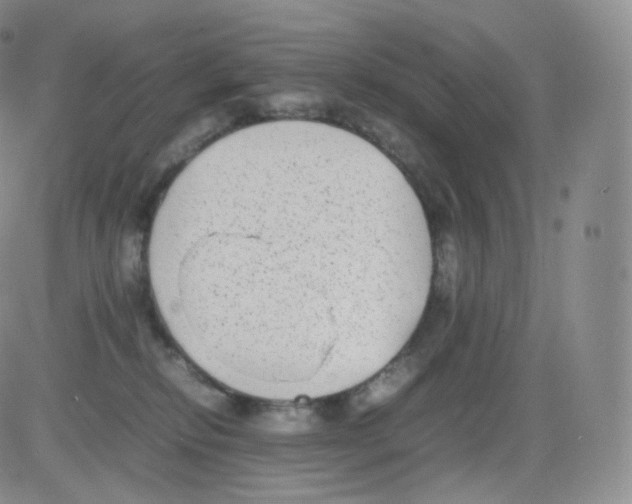 X0000082690278200702232212