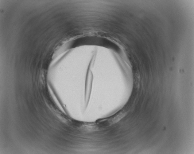 X0000082690280200702232212