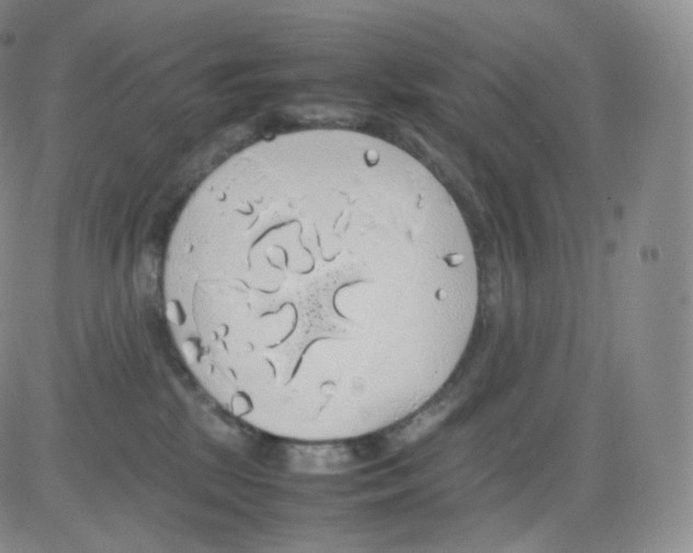 X0000082690281200702232212