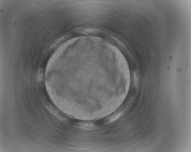 X0000082690284200702232212