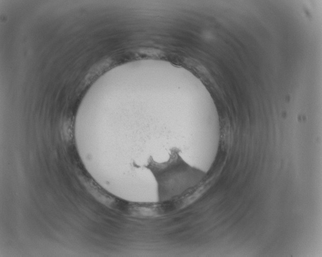 X0000082690285200702232212