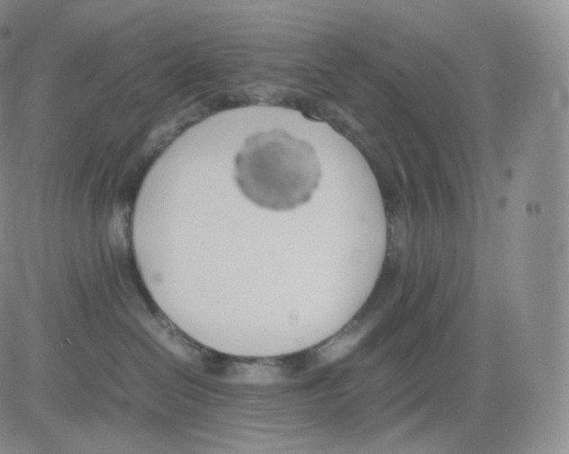 X0000082690286200702232212