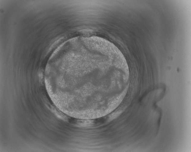 X0000082690288200702232212