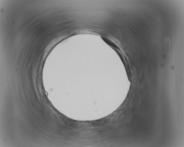 X0000082690289200702232212