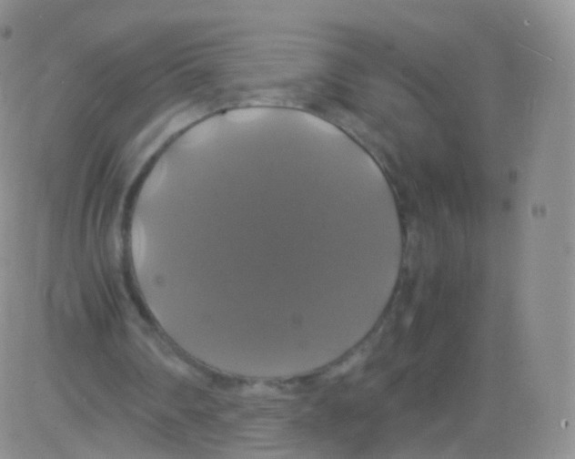 X0000082690290200702232212