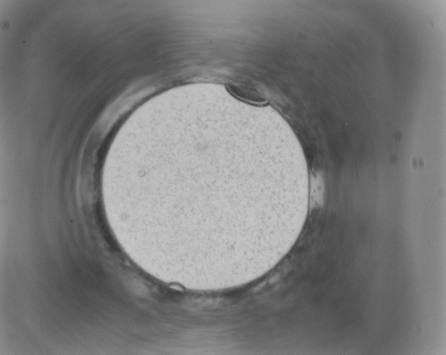 X0000082690291200702232212