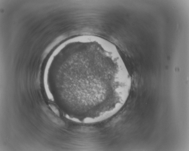 X0000082690292200702232212